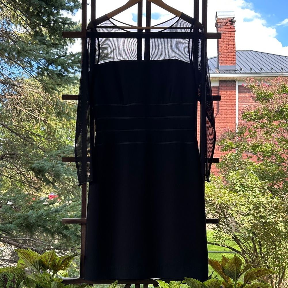 Talbots Elegant Black Strapless Dress with Sheer Accents
